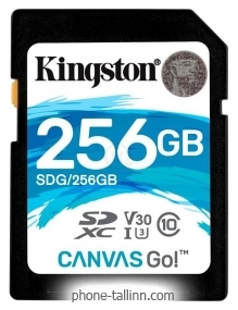 Kingston SDG/256GB