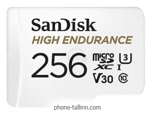 SanDisk SDSQQNR-256G-GN6IA