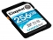 Kingston SDG/256GB