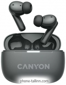 Canyon TWS-10