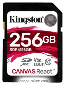 Kingston SDR/256GB