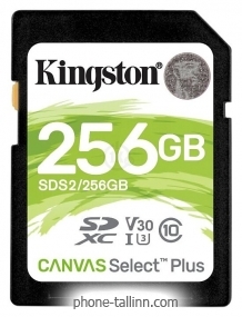 Kingston SDS2/256GB