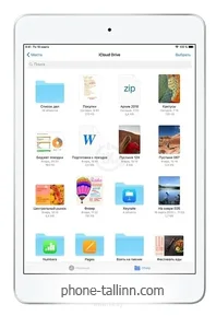 Apple iPad mini (2019) 256Gb Wi-Fi