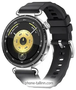 Huawei Watch GT 6 41mm (����������� �������)