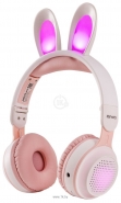 AIWA AW023 (�����)