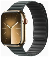 Apple Watch Series 9 45 �� (�������� ������, �������� �������)