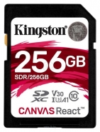 Kingston SDR/256GB