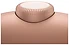 Apple AirPods Max (  USB Type-C, )