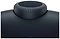 Apple AirPods Max (  USB Type-C, )