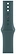 Apple Watch Series 10 46  ( ,    S/M)