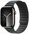 Apple Watch Series 9 45  ( ,  )