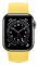 Apple Watch Series 6 GPS + Cellular 40mm Stainless Steel Case with Solo Loop