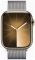 Apple Watch Series 9 45  ( , )