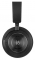 Bang & Olufsen Beoplay H9i