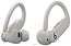 Beats Powerbeats Pro 2