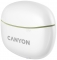 Canyon CNS-TWS5GR