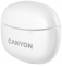 Canyon CNS-TWS5W