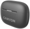 Canyon TWS-10