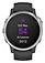 Garmin Fenix 6S