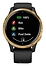 Garmin Venu