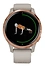 Garmin Venu