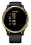 Garmin Venu