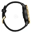Garmin Venu