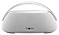 Harman/Kardon Go + Play 3
