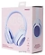 Miniso Elegance