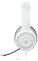 Razer Kraken X