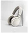 Sennheiser Accentum