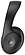 Sennheiser RS 120-W