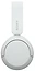 Sony WH-CH520 ()