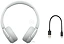 Sony WH-CH520 ()