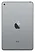 Apple iPad mini (2019) 256Gb Wi-Fi