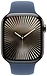 Apple Watch Series 10 46 �� (��������� ������, ���������� ����������� �������)