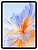 Blackview Link 8 Wi-Fi 12/256GB