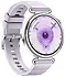 Huawei Watch GT 6 41mm (����������� �������)