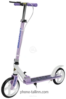 Ricos Shine JSCM6698 ()