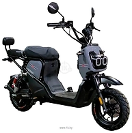 AVM.Plus Zoomer (�����)