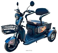 Volt Trio (�����)