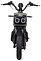 AVM.Plus Zoomer ()