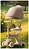 Ricos Crocs JSCN669 ()