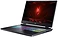 Acer Nitro 17 AN17-41-R9CS (NH.QL1EL.003)